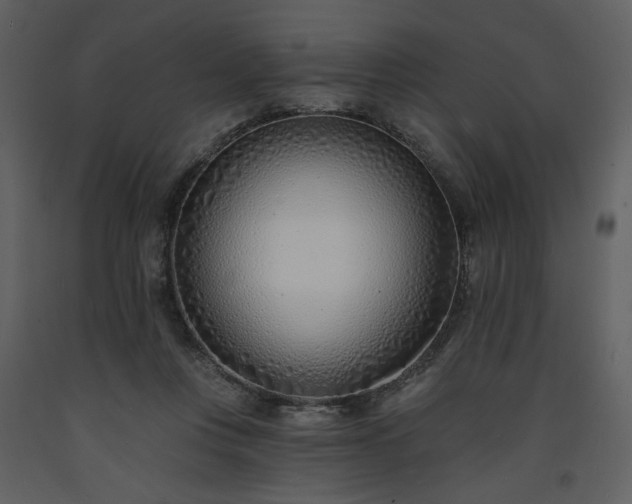 X0000093600359200710221552