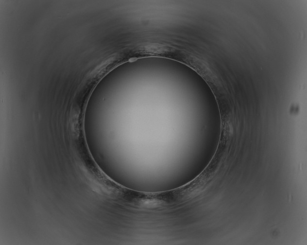 X0000093600360200710221552