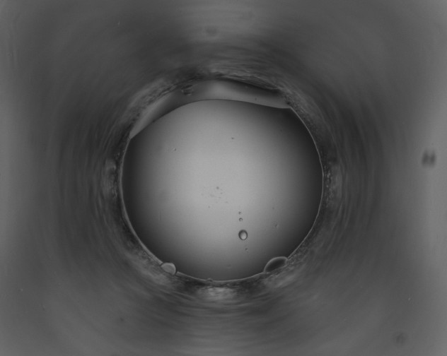 X0000093600361200710221552