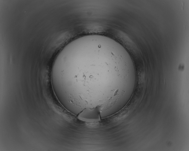 X0000093600362200710221552