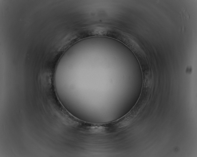 X0000093600363200710221552