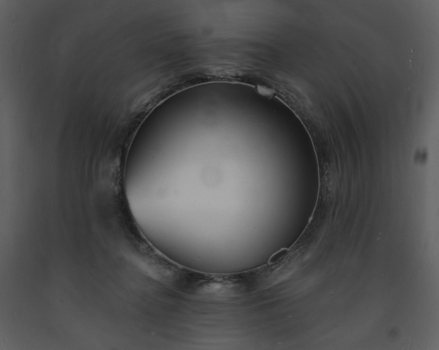 X0000093600364200710221552