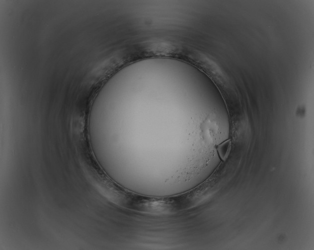 X0000093600365200710221552