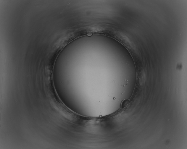 X0000093600366200710221552