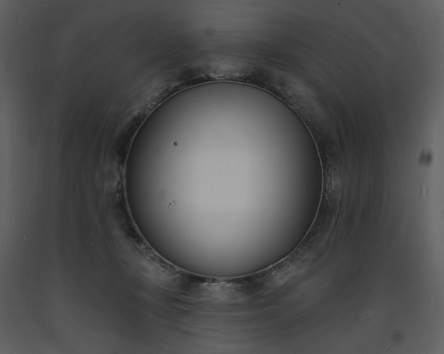 X0000093600367200710221552