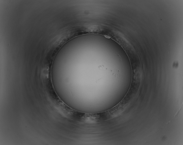 X0000093600368200710221552