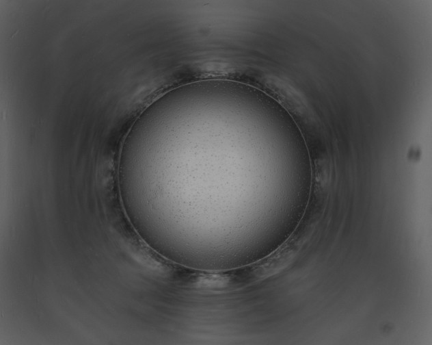 X0000093600369200710221552