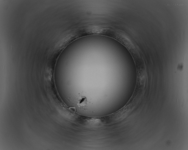 X0000093600374200710221552