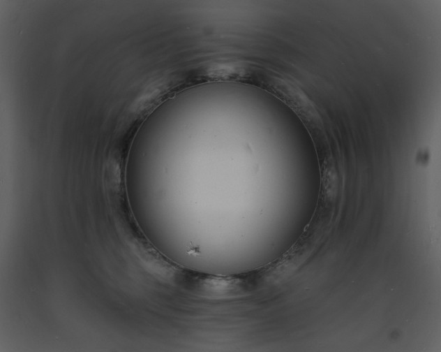 X0000093600375200710221552