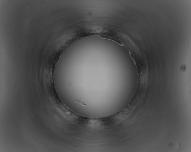 X0000093600376200710221552