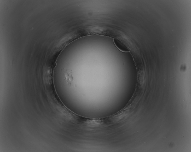 X0000093600378200710221552