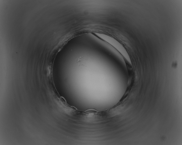 X0000093600382200710221552