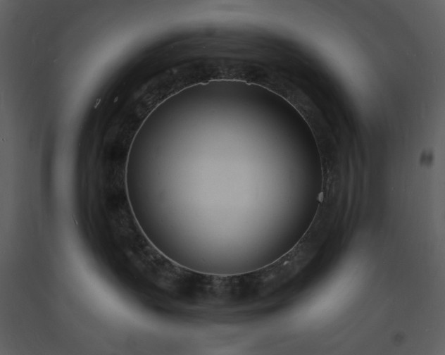 X0000093600383200710221552