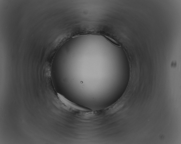 X0000093600384200710221552