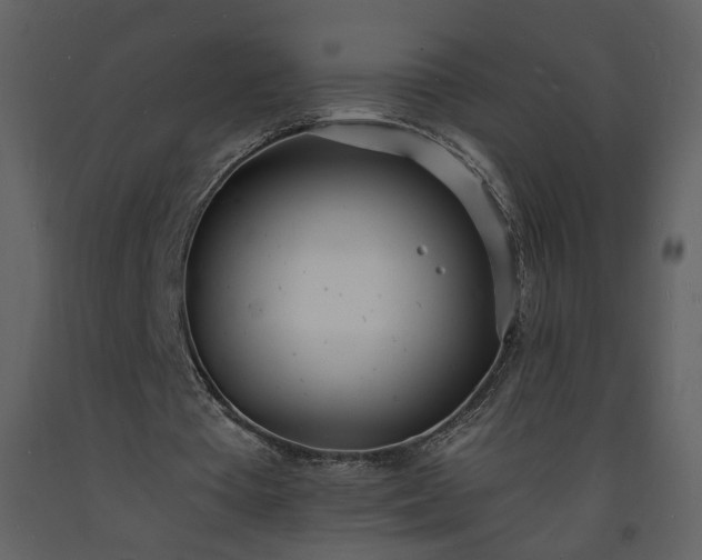 X0000093600385200710221552