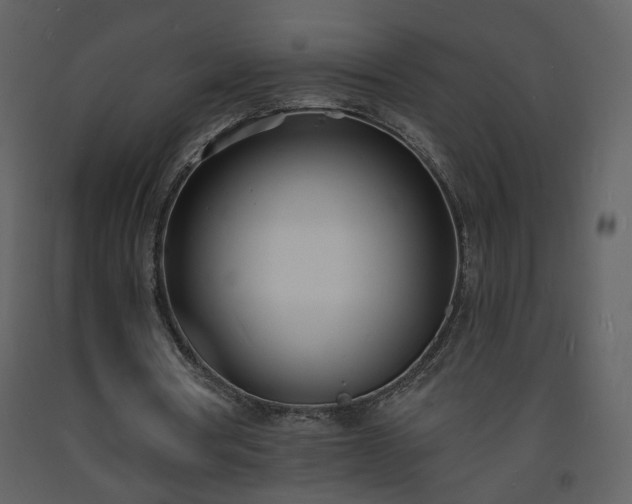 X0000093600386200710221552