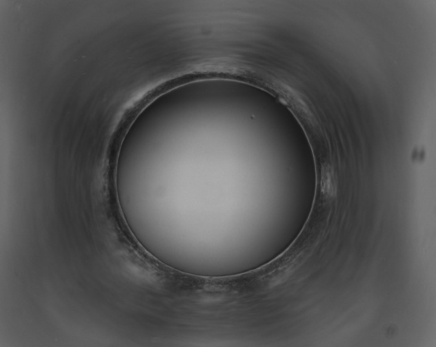 X0000093600388200710221551