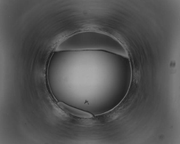 X0000093600389200710221551