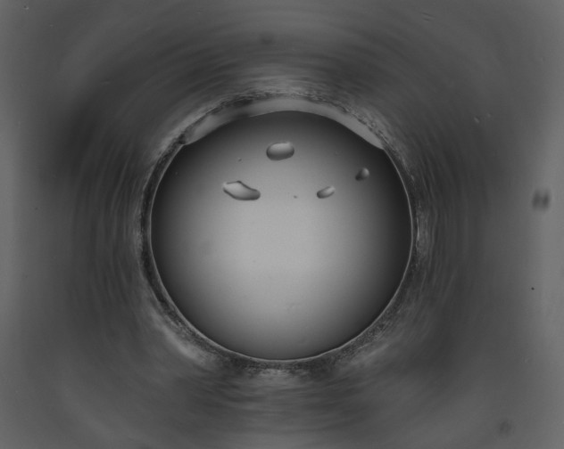 X0000093600390200710221551