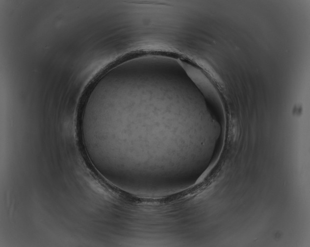 X0000093600391200710221551