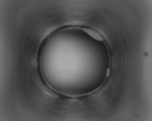 X0000093600392200710221551