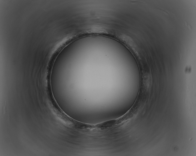 X0000093600395200710221551