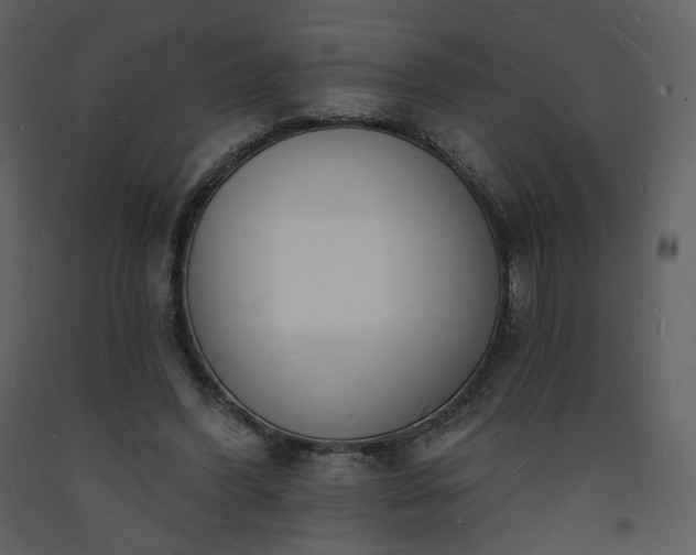 X0000093600396200710221551