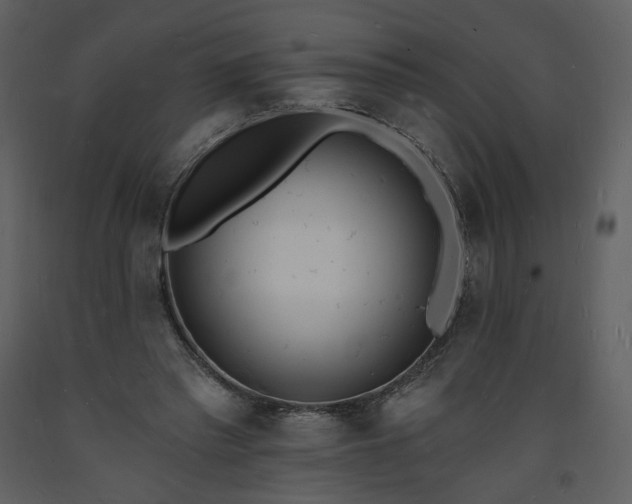 X0000093600397200710221551