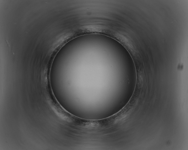 X0000093600398200710221551