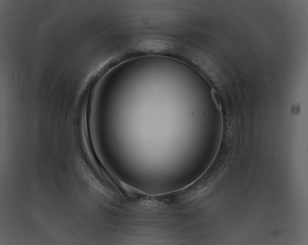 X0000093600399200710221551