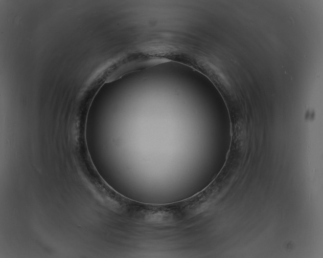 X0000093600400200710221551