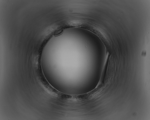 X0000093600404200710221551