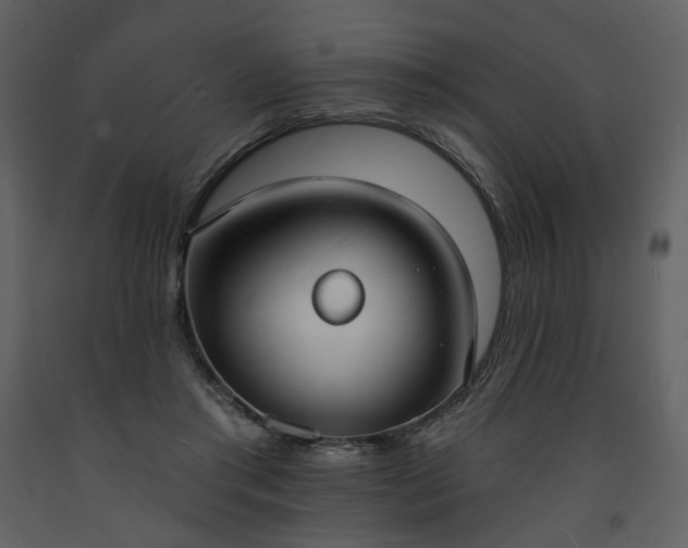 X0000093600405200710221551