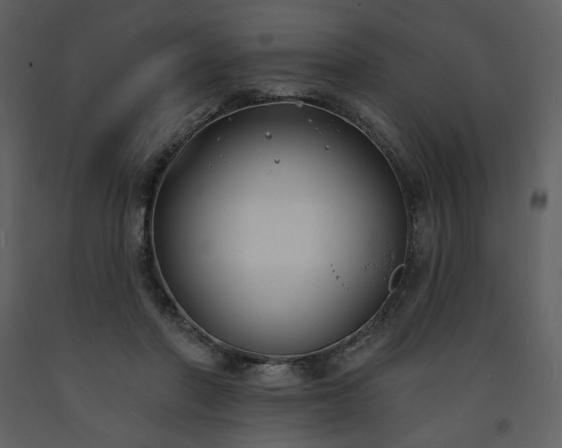 X0000093600406200710221551