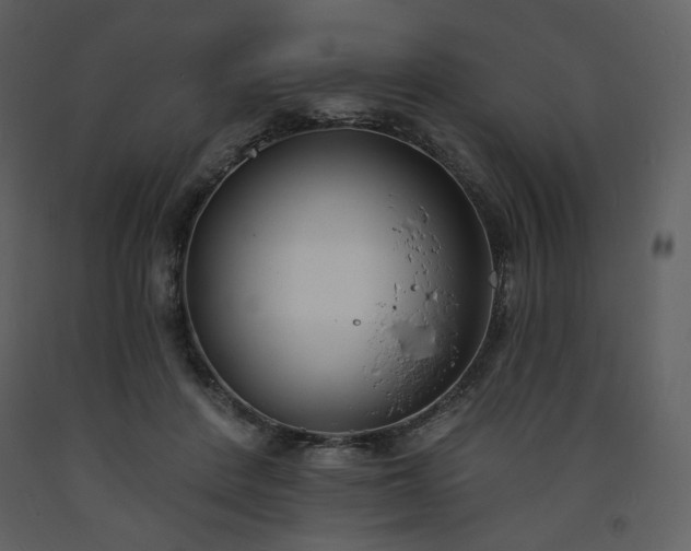 X0000093600408200710221551