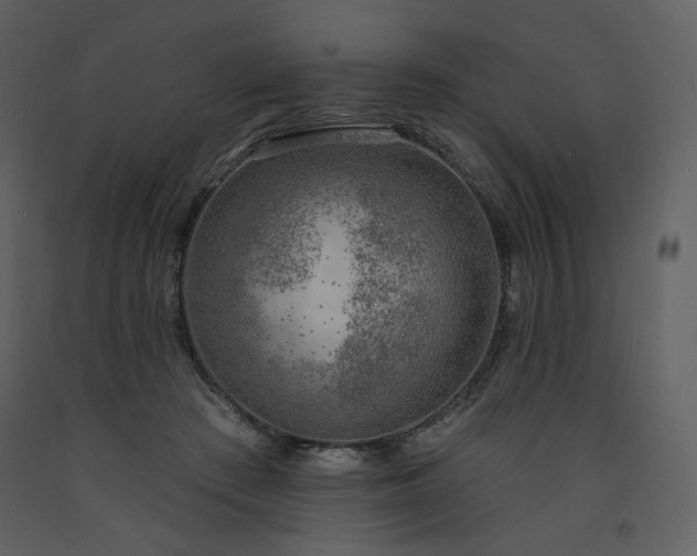 X0000093600409200710221551