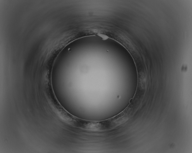 X0000093600410200710221551