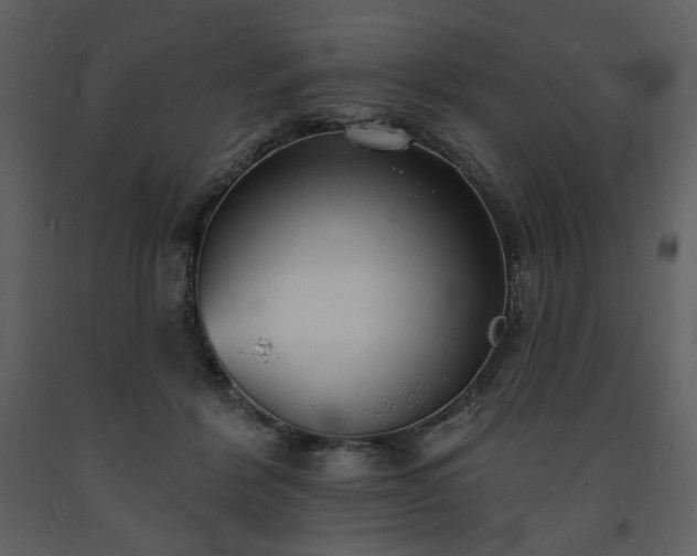 X0000093600412200710221551