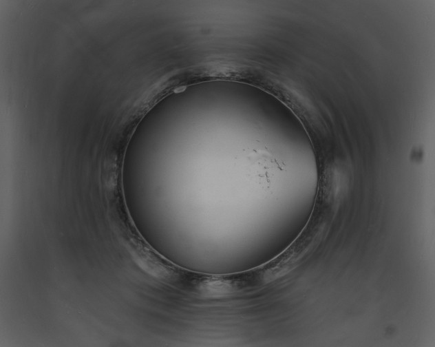 X0000093600413200710221551