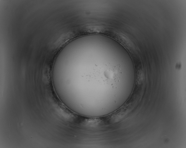 X0000093600414200710221551