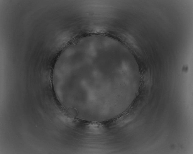 X0000093600415200710221551