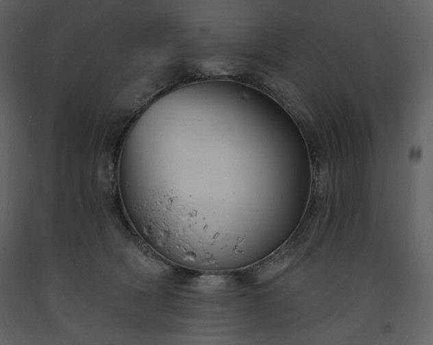 X0000093600418200710221551