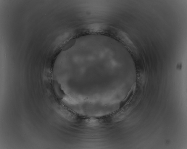 X0000093600419200710221551