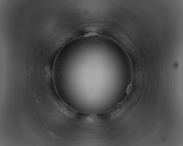 X0000093600420200710221551