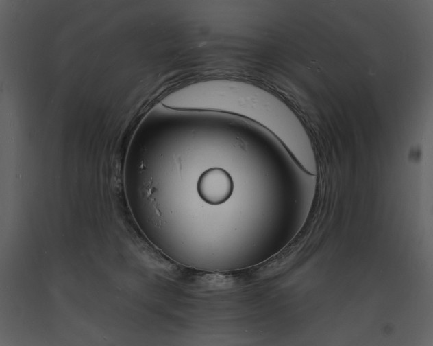 X0000093600421200710221551