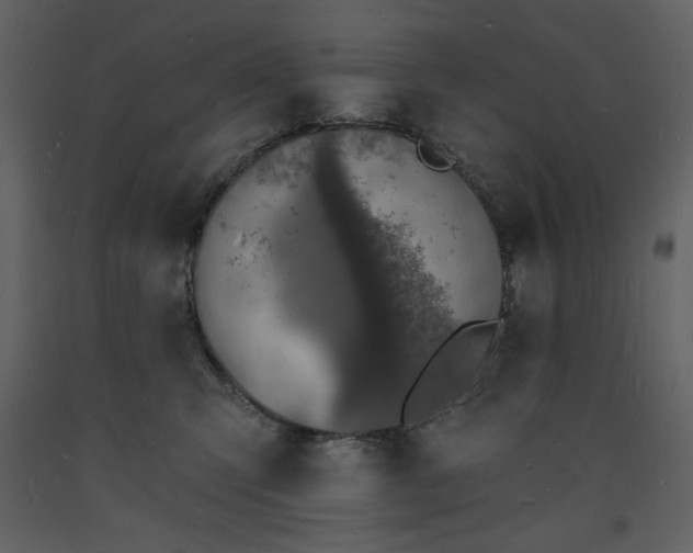 X0000093600423200710221551