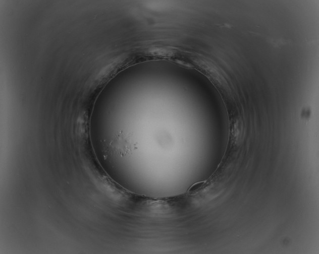 X0000093600424200710221551