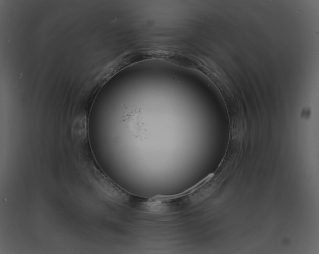 X0000093600425200710221551