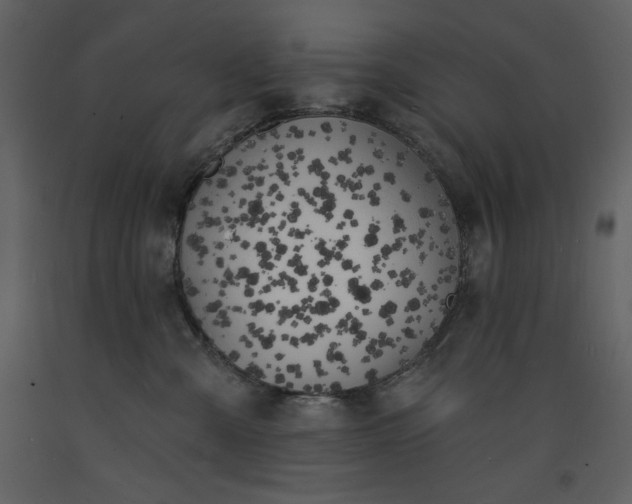 X0000093600427200710221551