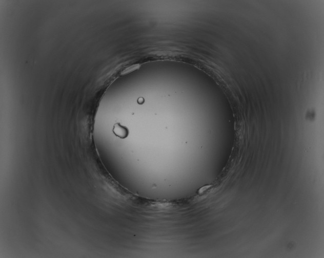 X0000093600428200710221551